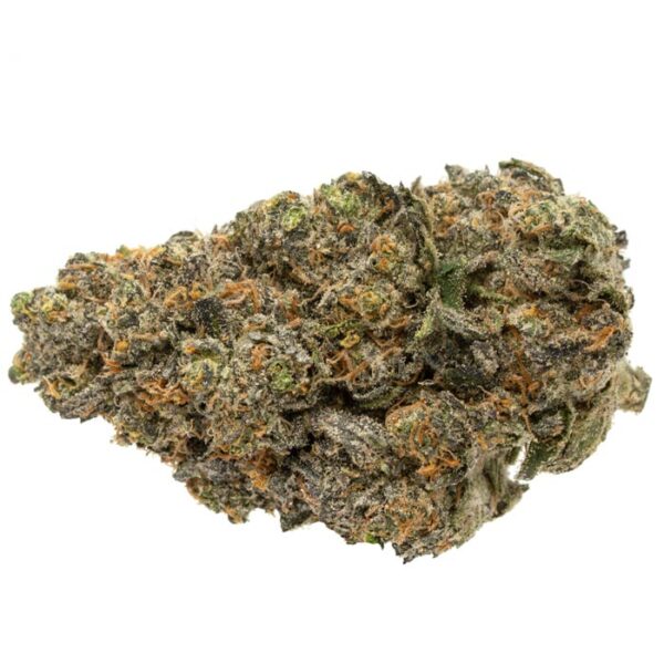 Purple Tangie Strain