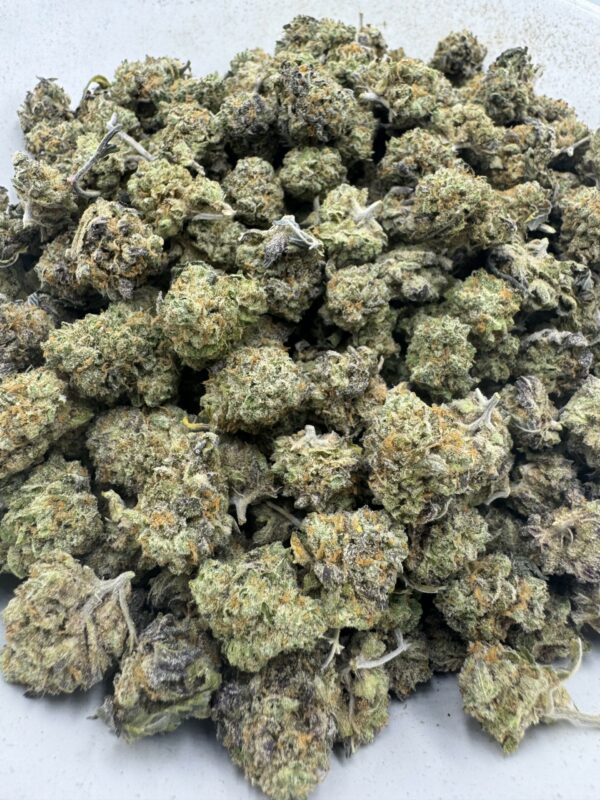 Tropical Punch Strain - Image 3