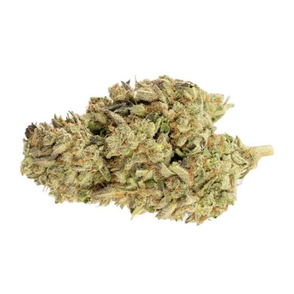 UK Cheese Strain