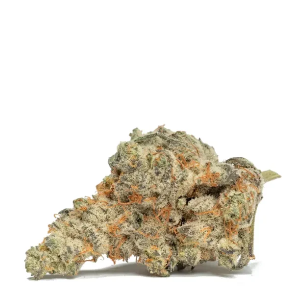 Wappa strain
