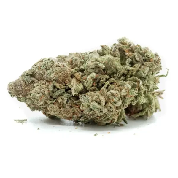 White Buffalo strain