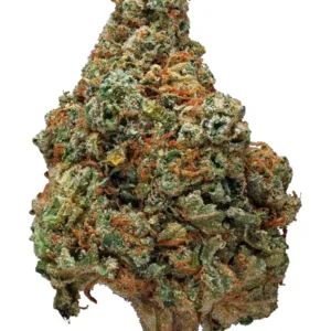 Zombie OG strain