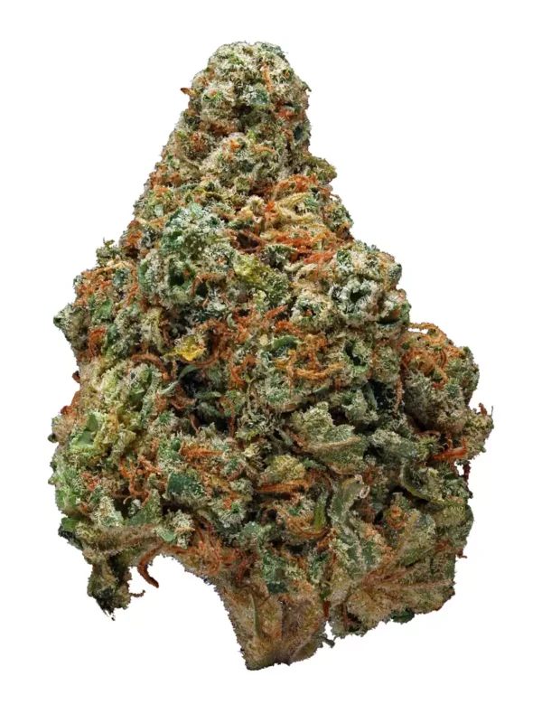 Zombie OG strain