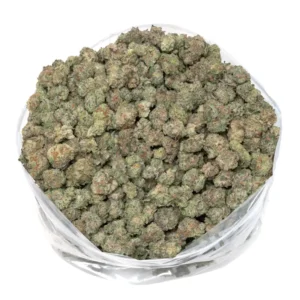 italian ice strain