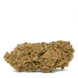 Lemon Tree Strain