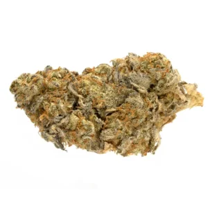 Mandarin Cookies Strain