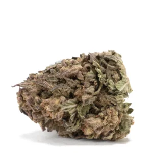 Maui Wowie strain