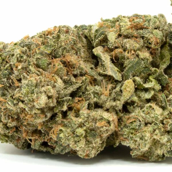 Romulan strain - Image 2