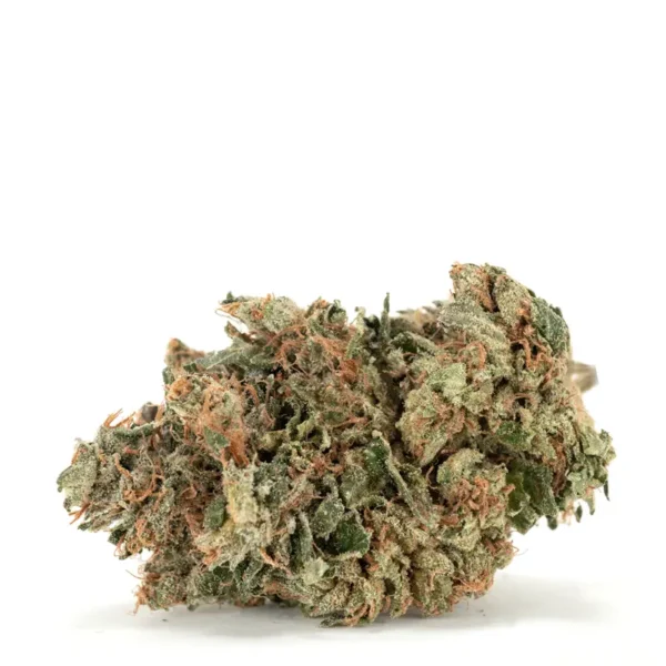 Sfv og kush strain