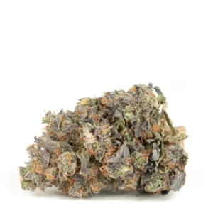 Sensi Star strain