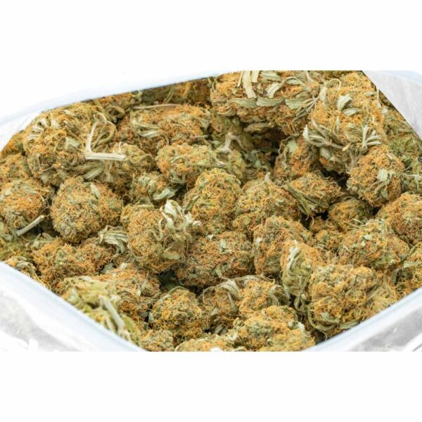 Tangerine Sunrise strain - Image 3