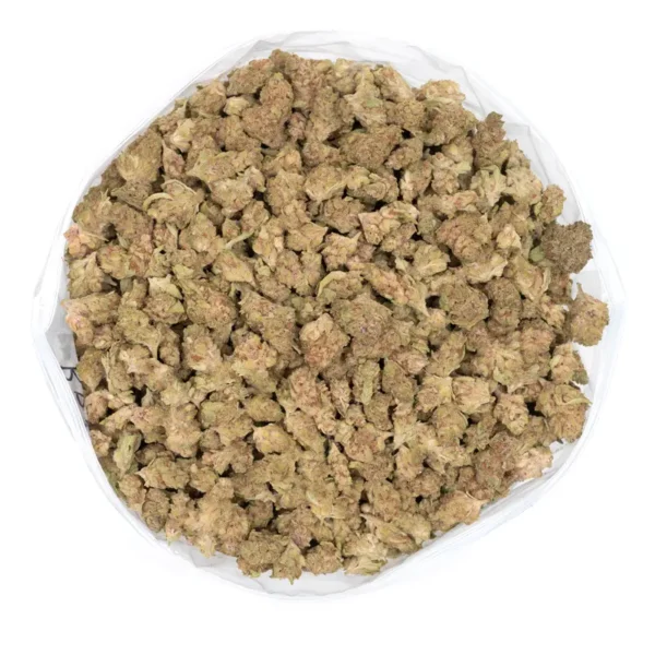 Tropical Punch strain