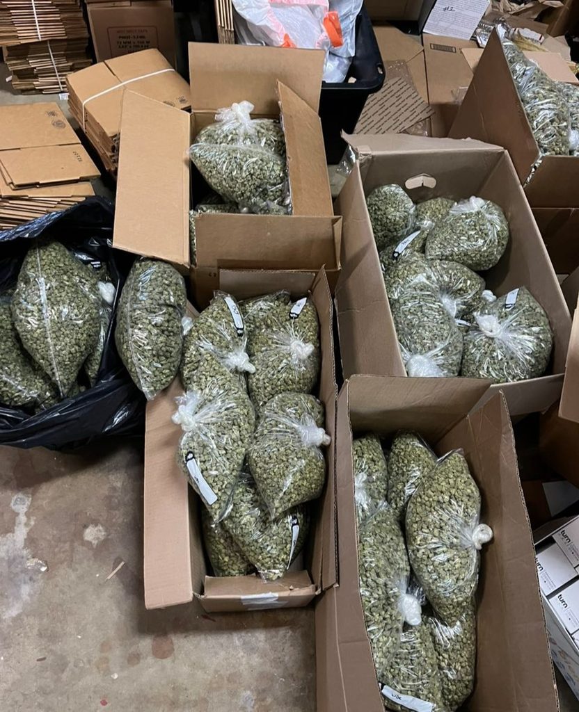 Discover the Best Cannabis Online Store cannabis online