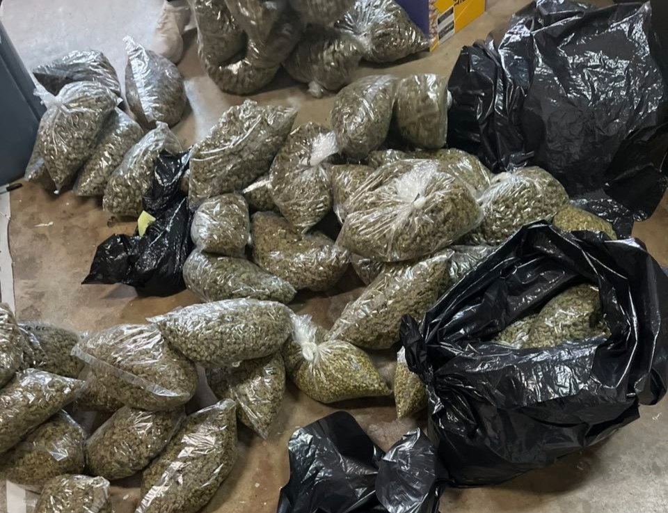 Discover the Best Cannabis Online Store cannabis online