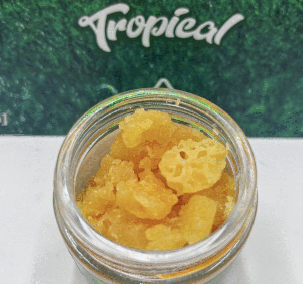 Whole Melt Tropical