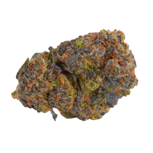 Gelato 41 strain