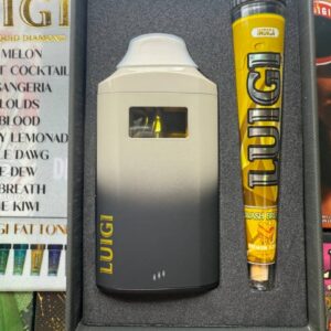 Luigi 2G Disposable