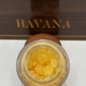 Whole Melt Havana Edition